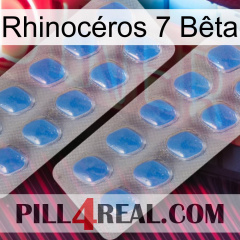 Rhinocéros 7 Bêta 23